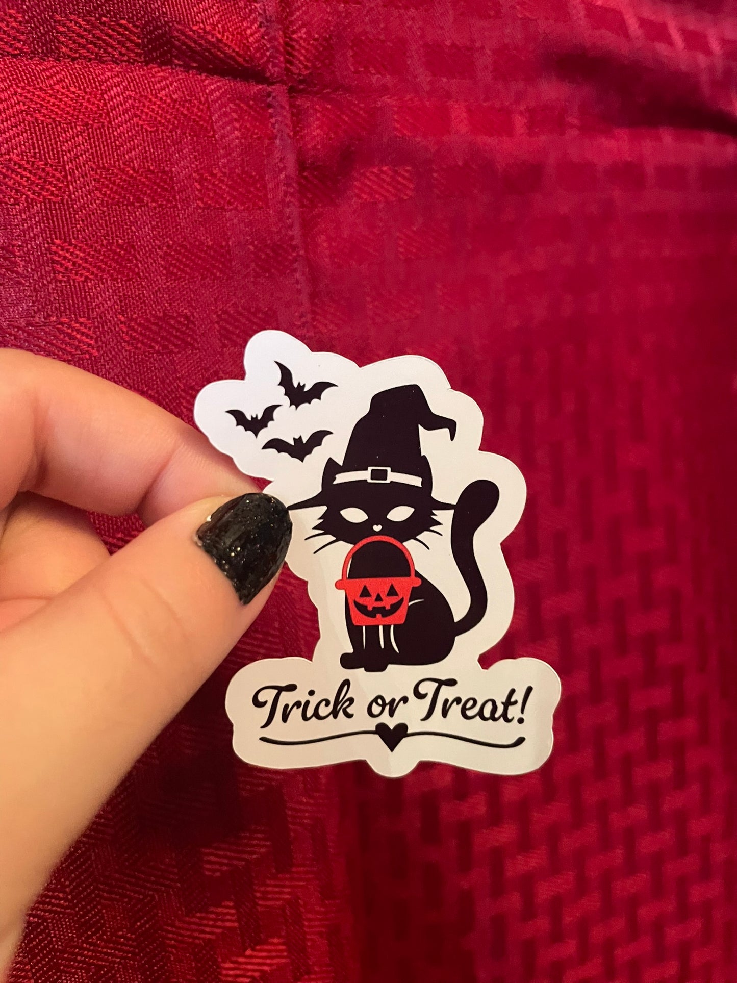 Trick or Treat Kitty!