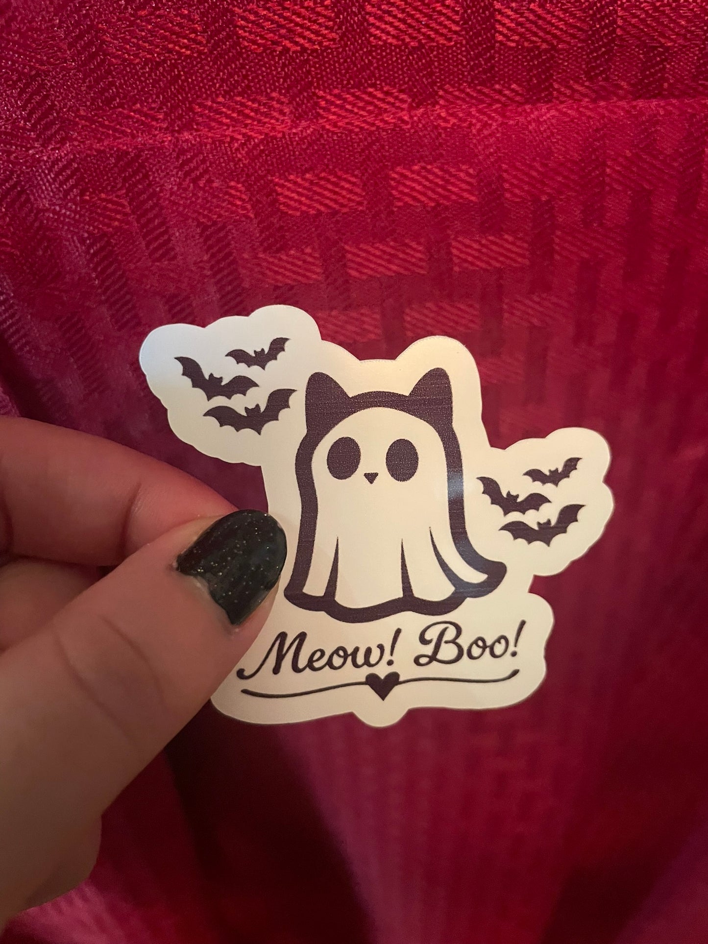 Meow! Boo!