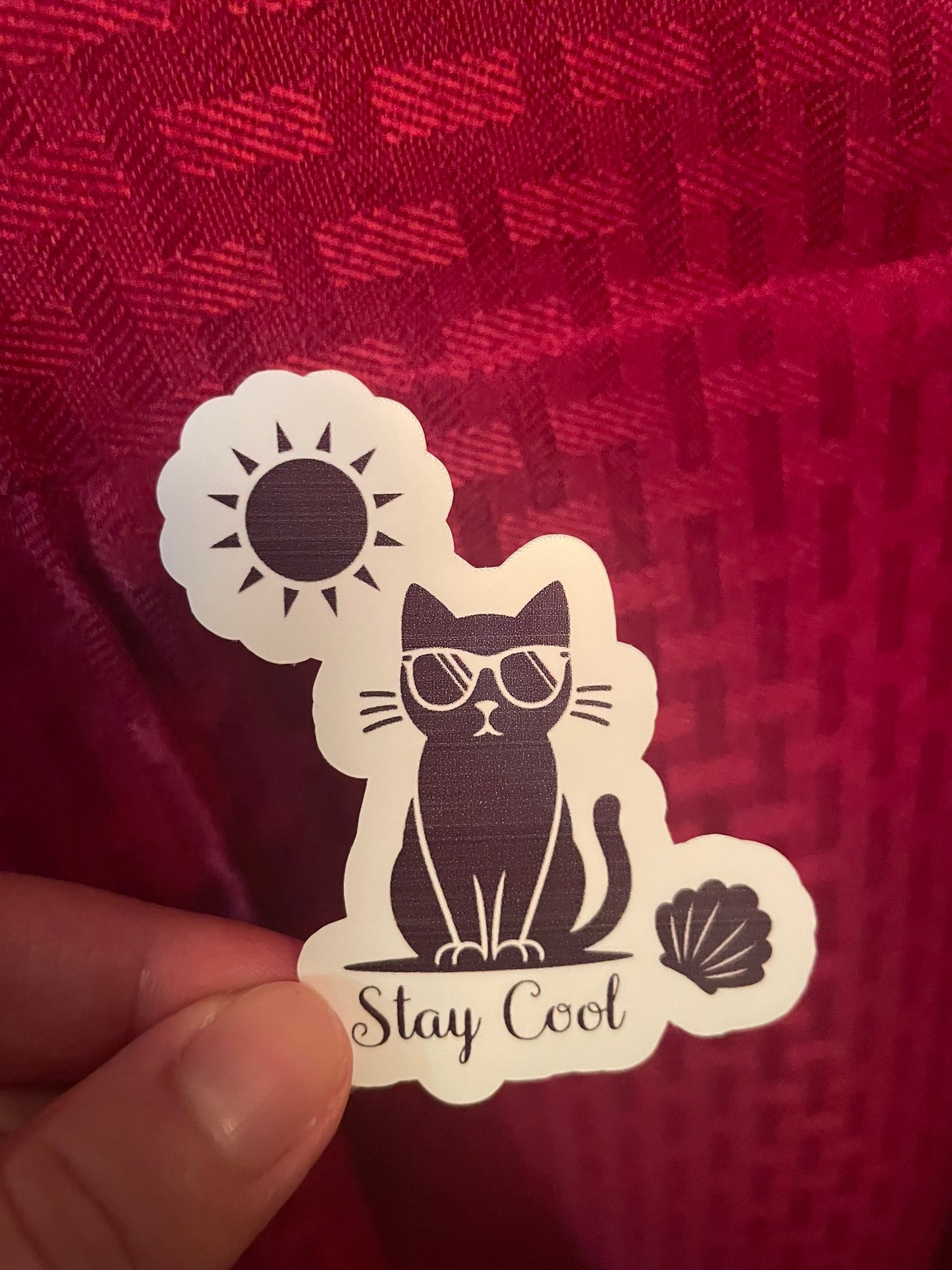 Stay Cool Kitty!