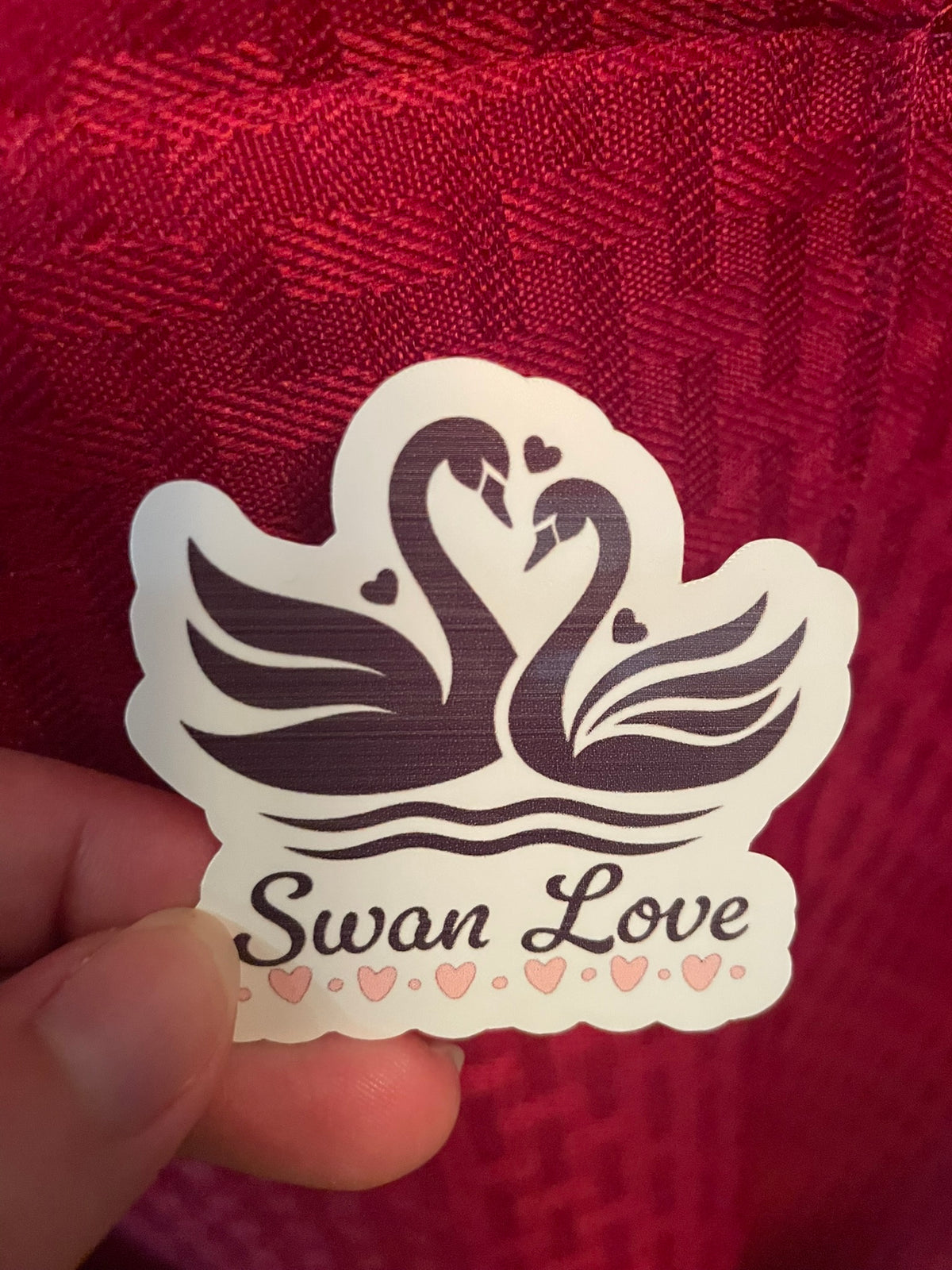 Swan Love!