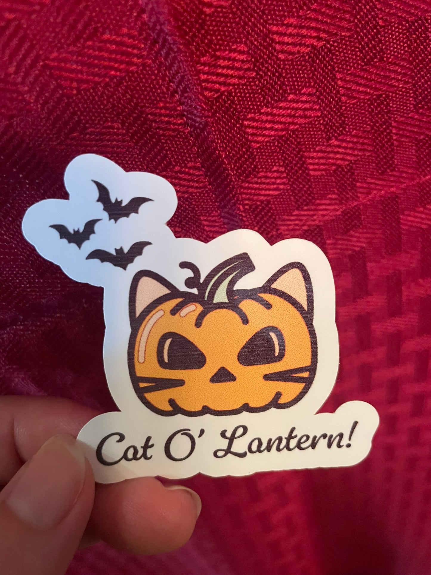 Cat O' Lantern! :)