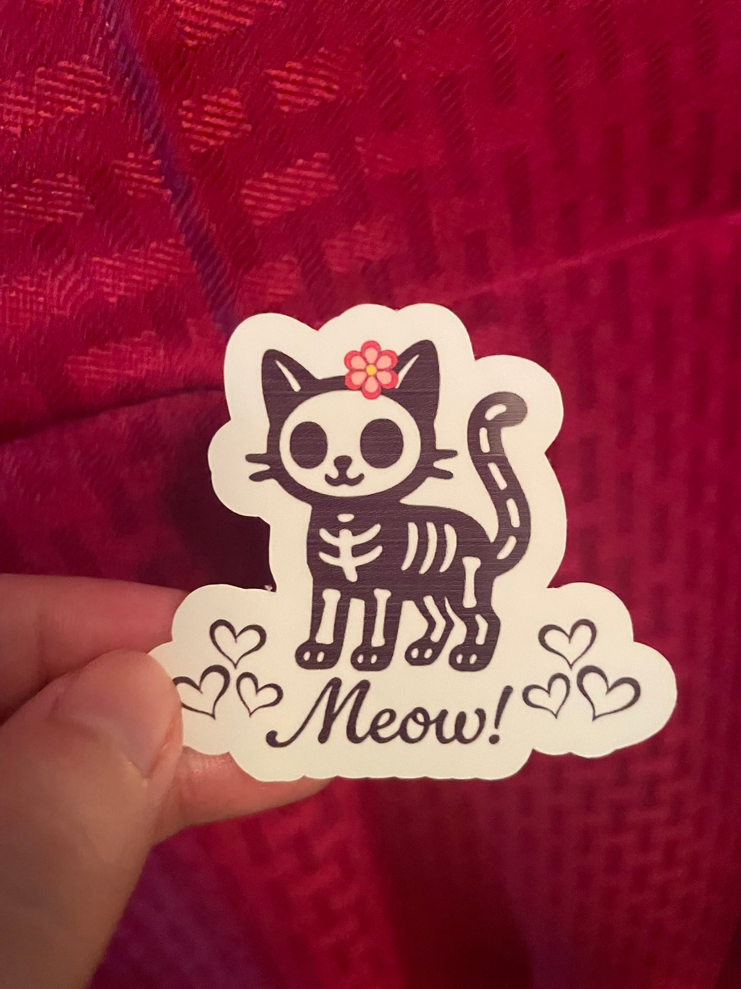 Meow! :)