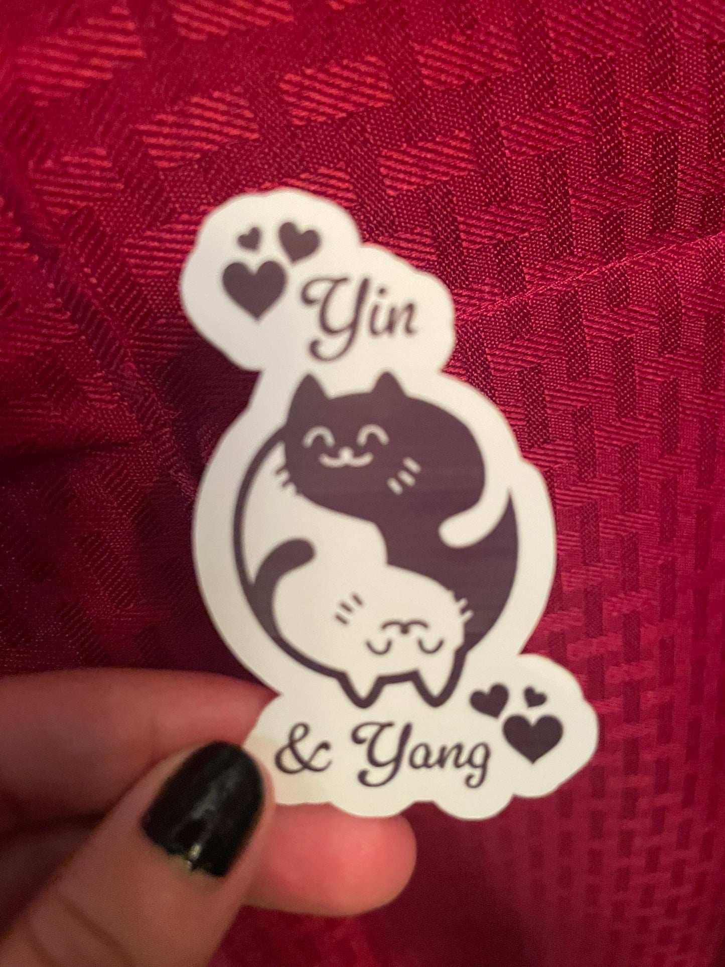 Yin & Yang Cats! :)
