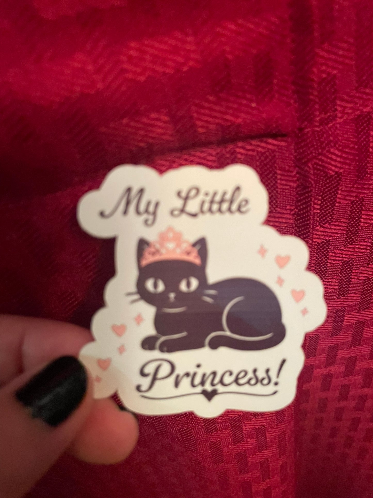 My Little Princess Kitty! :)