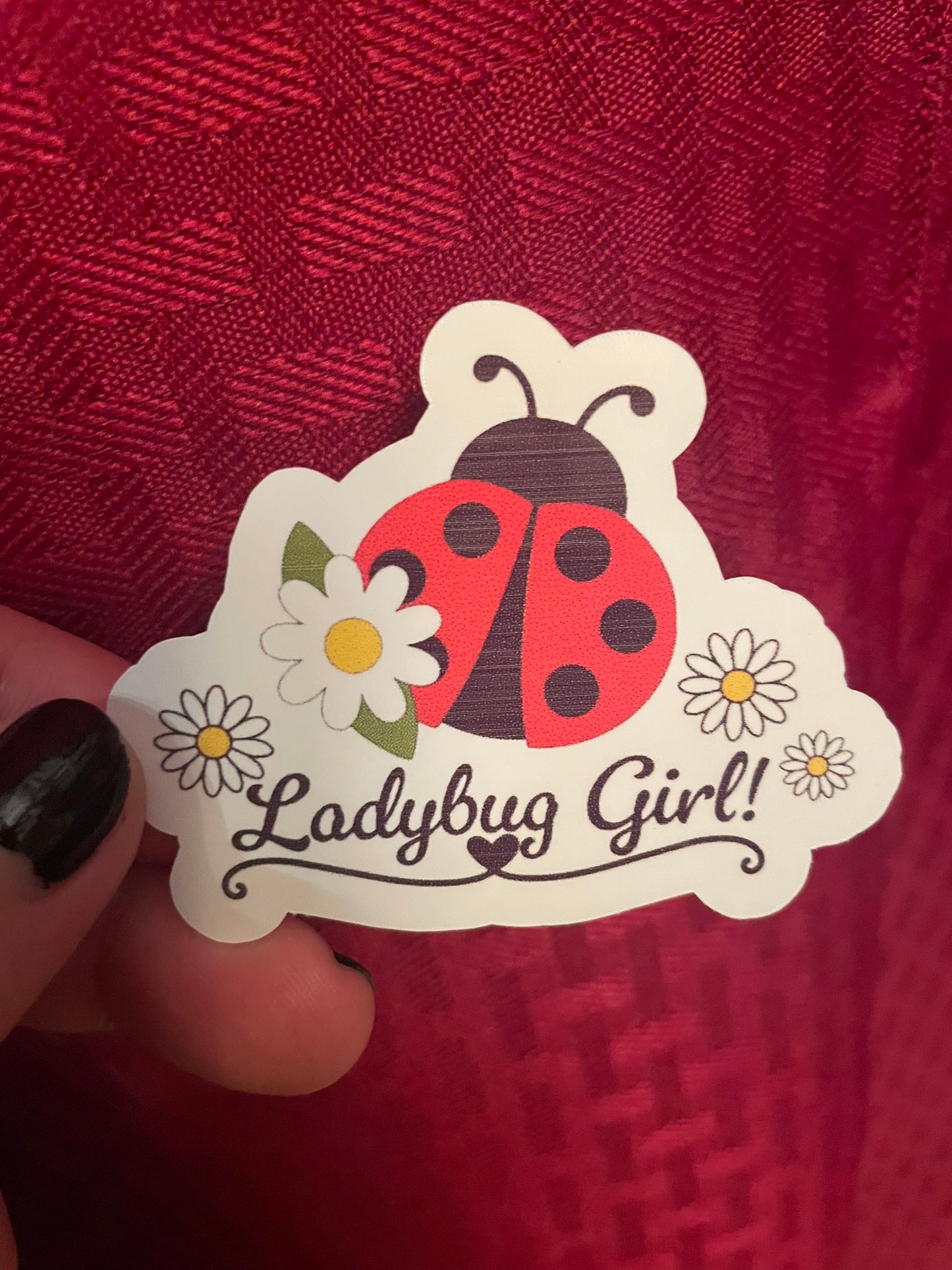 Ladybug Girl!