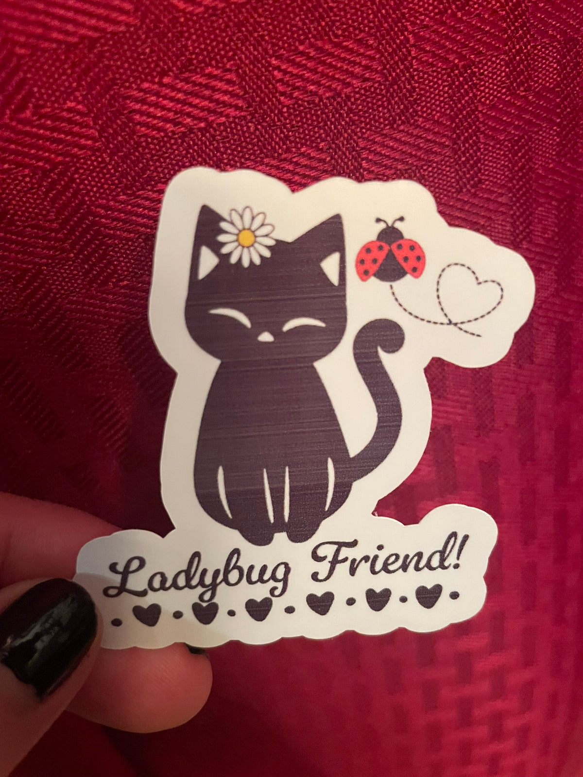 Ladybug Friend!