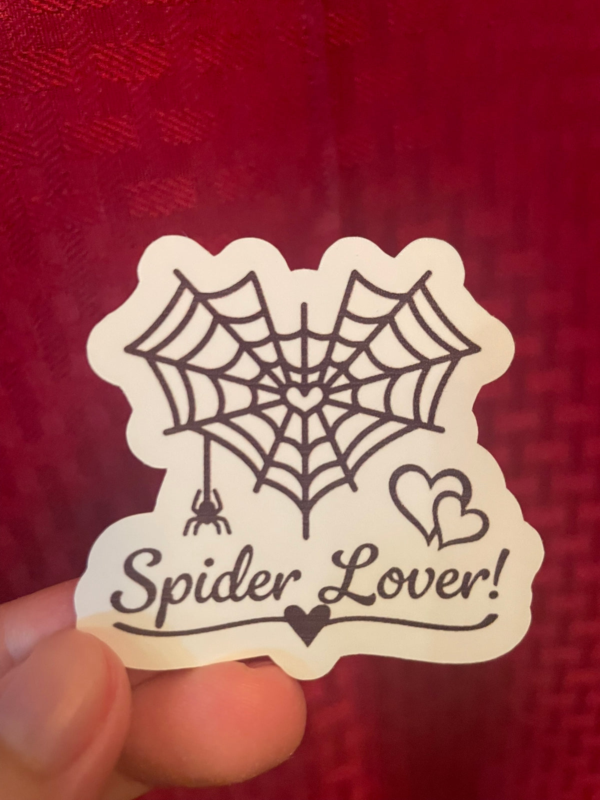 Spider Lover!