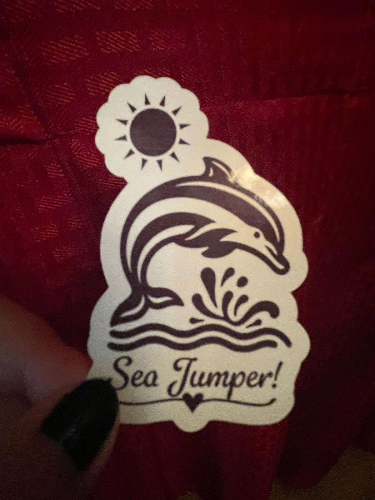 Sea Jumper!