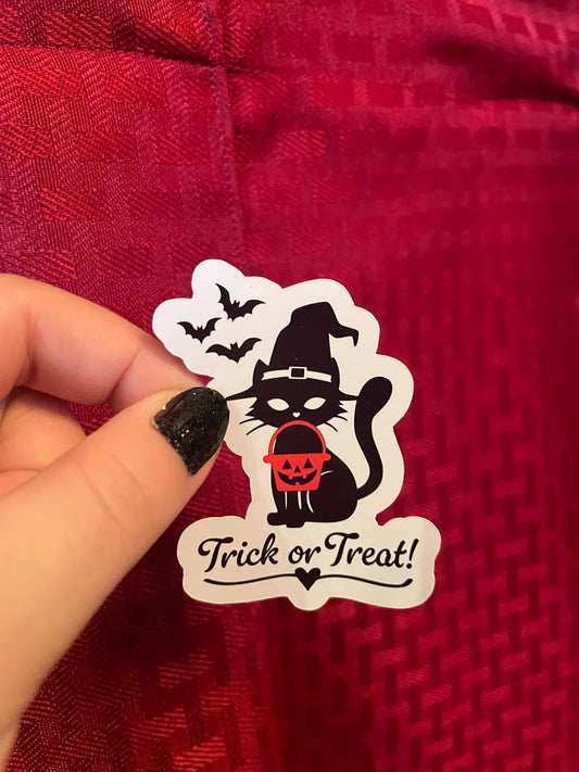 Trick or Treat Kitty!