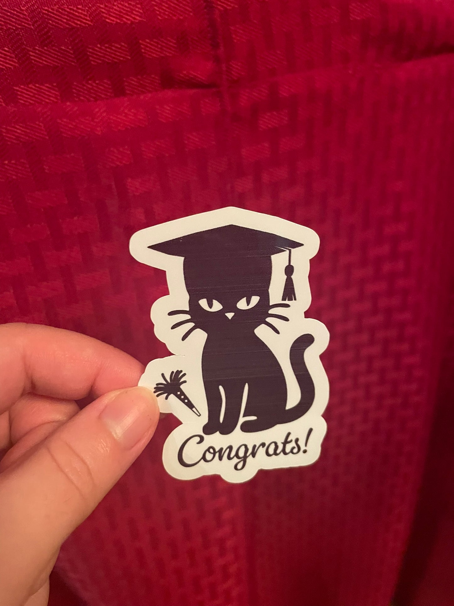 Congrats Kitty!
