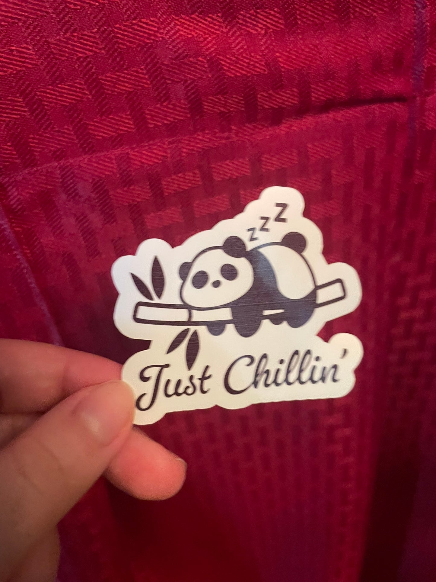 Just Chillin' Panda