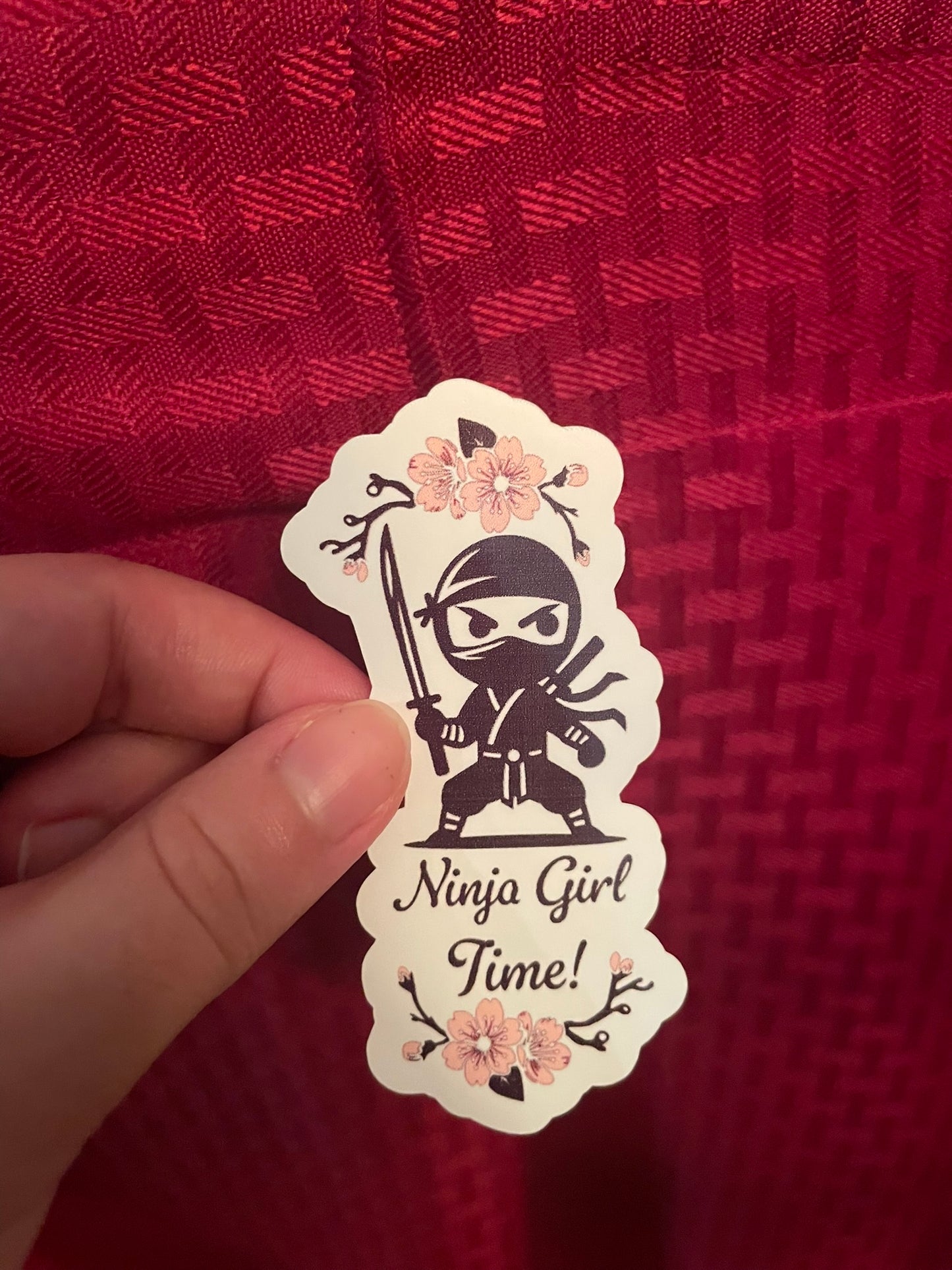 Ninja Girl Time!