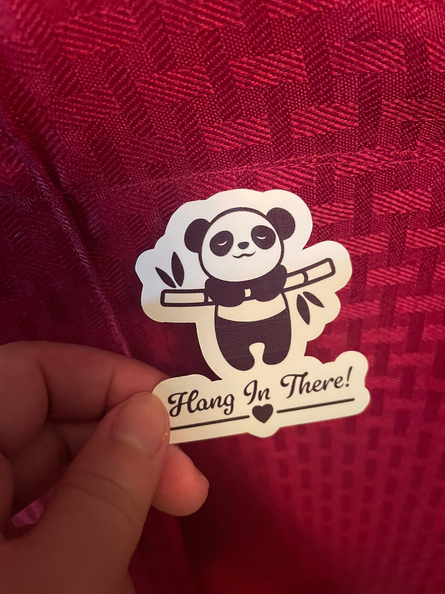 Hang in There Panda!