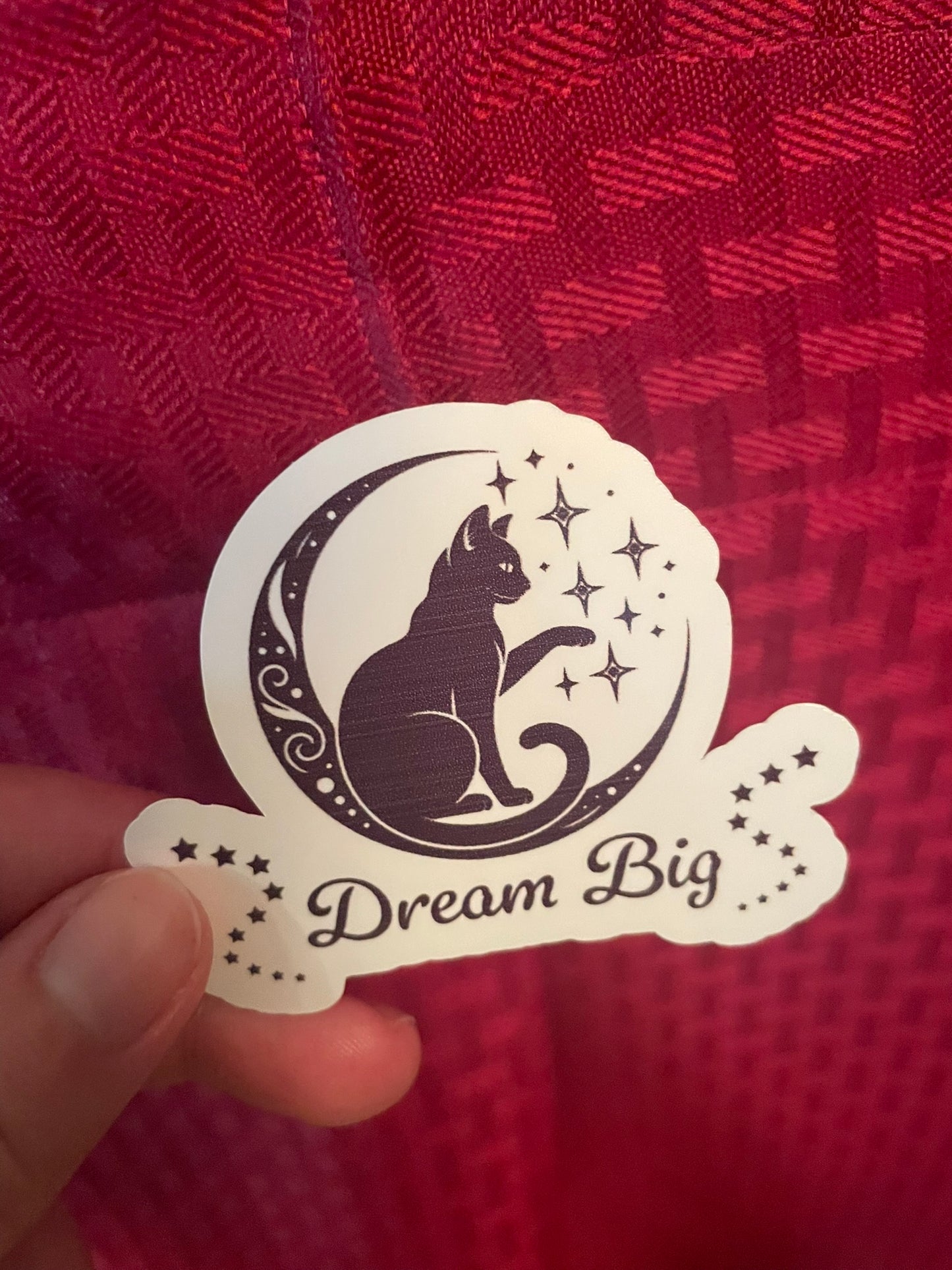 Dream Big Kitty!