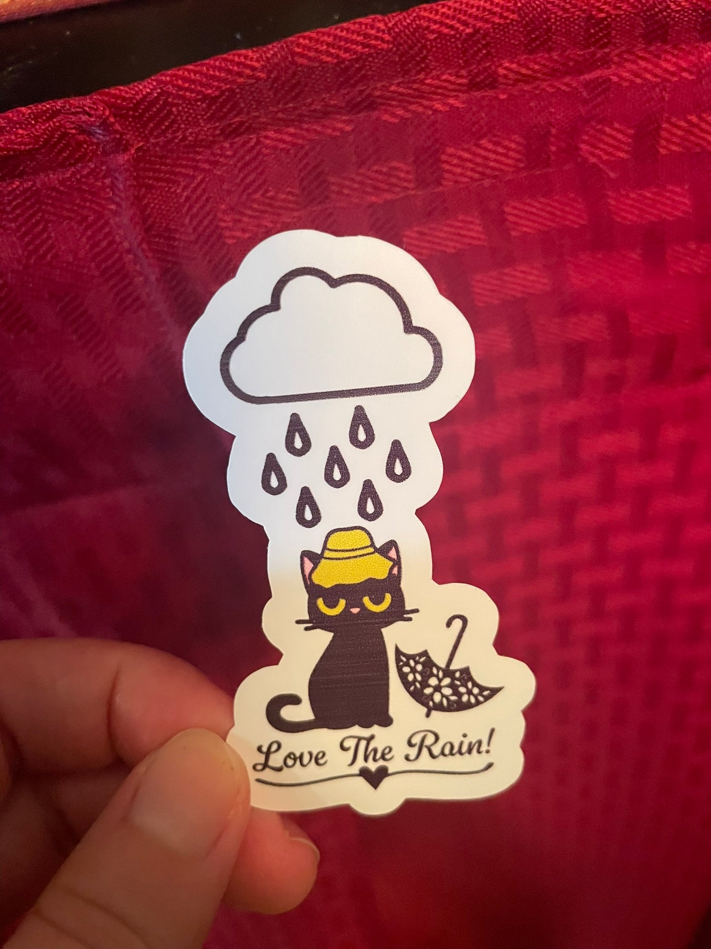 Love The Rain Kitty!