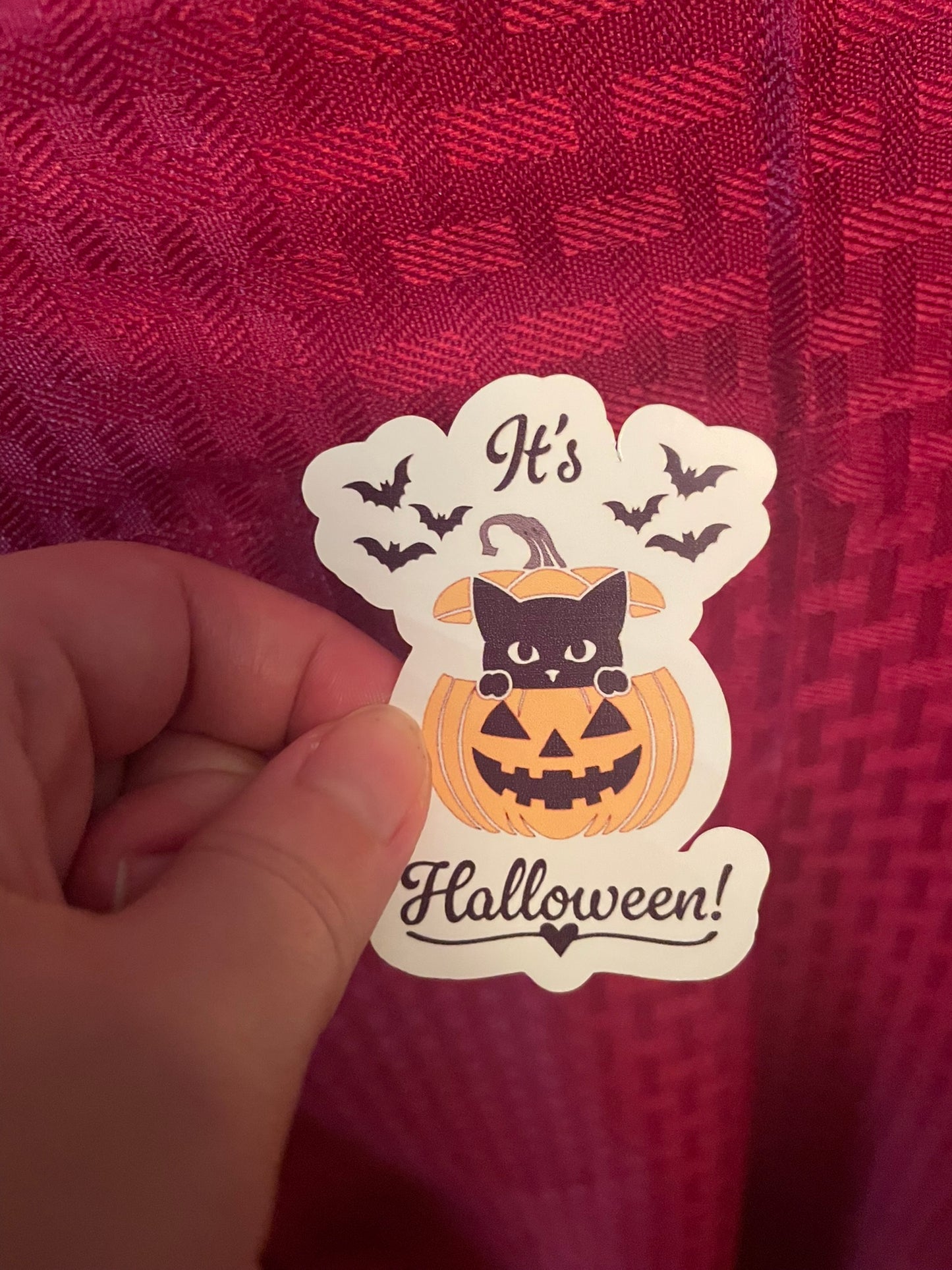 It's Halloween Kitty!