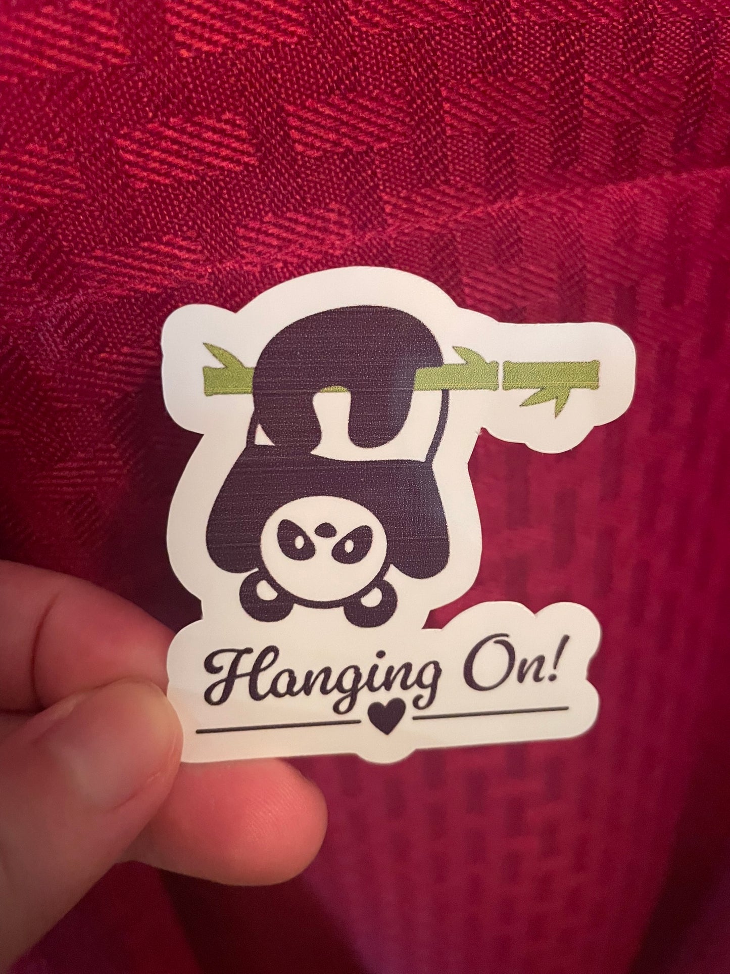 Panda Hanging On!