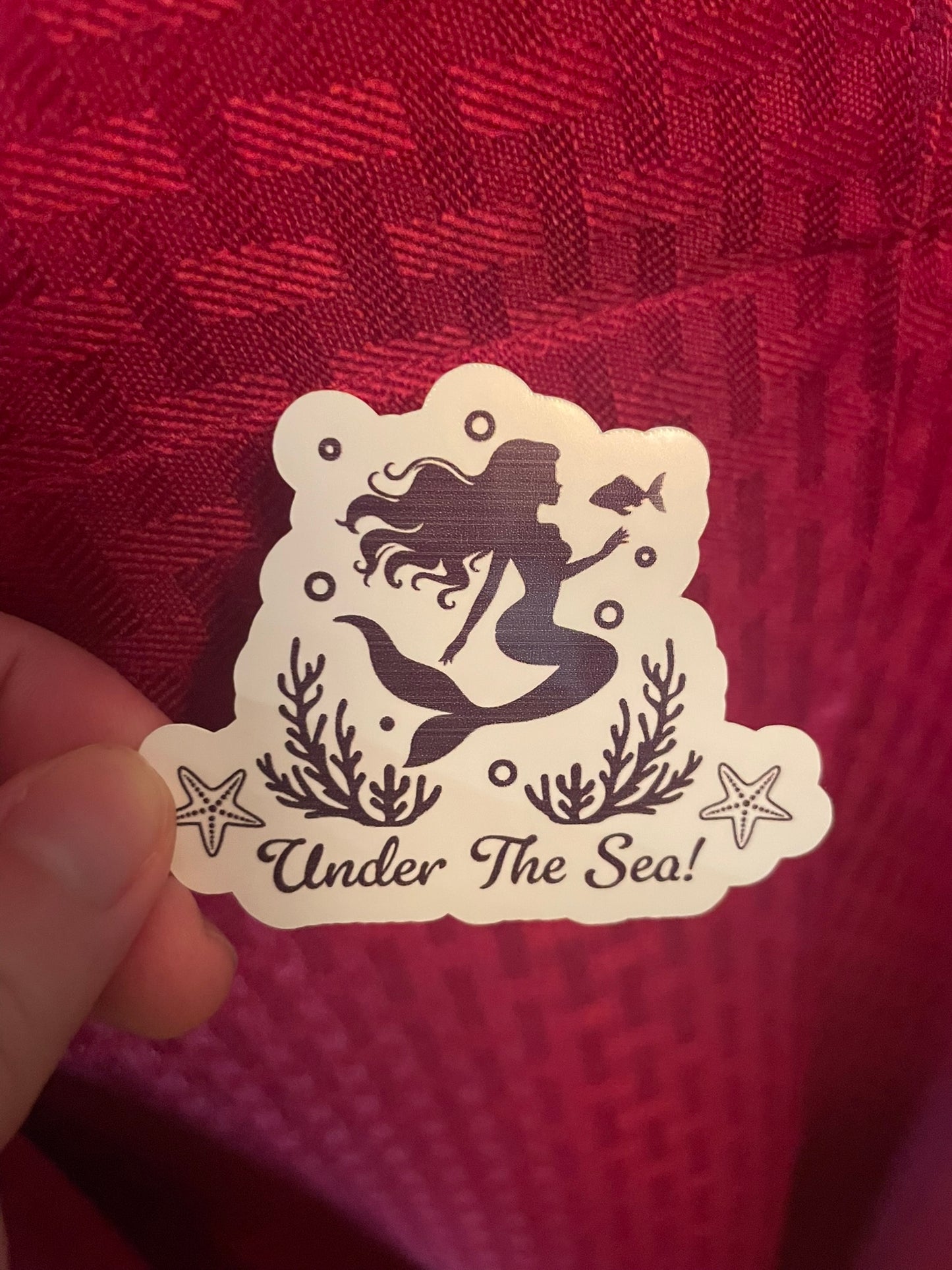 Under The Sea Mermaid!