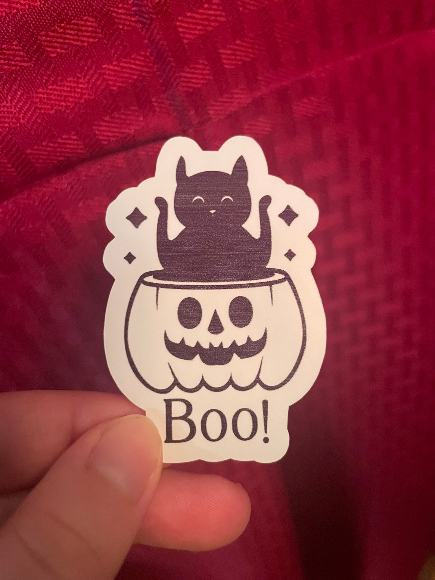 Boo! Kitty!