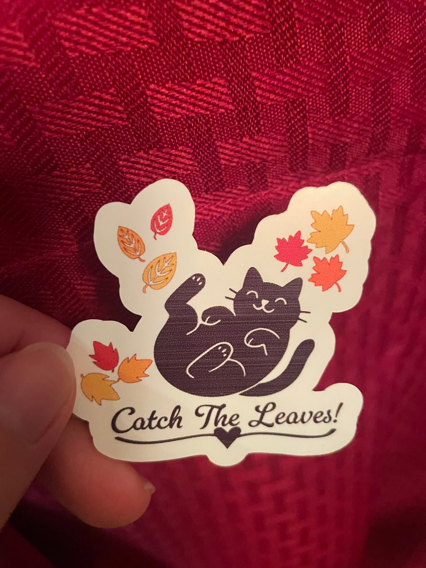 Catch The Leaves Kitty! :)