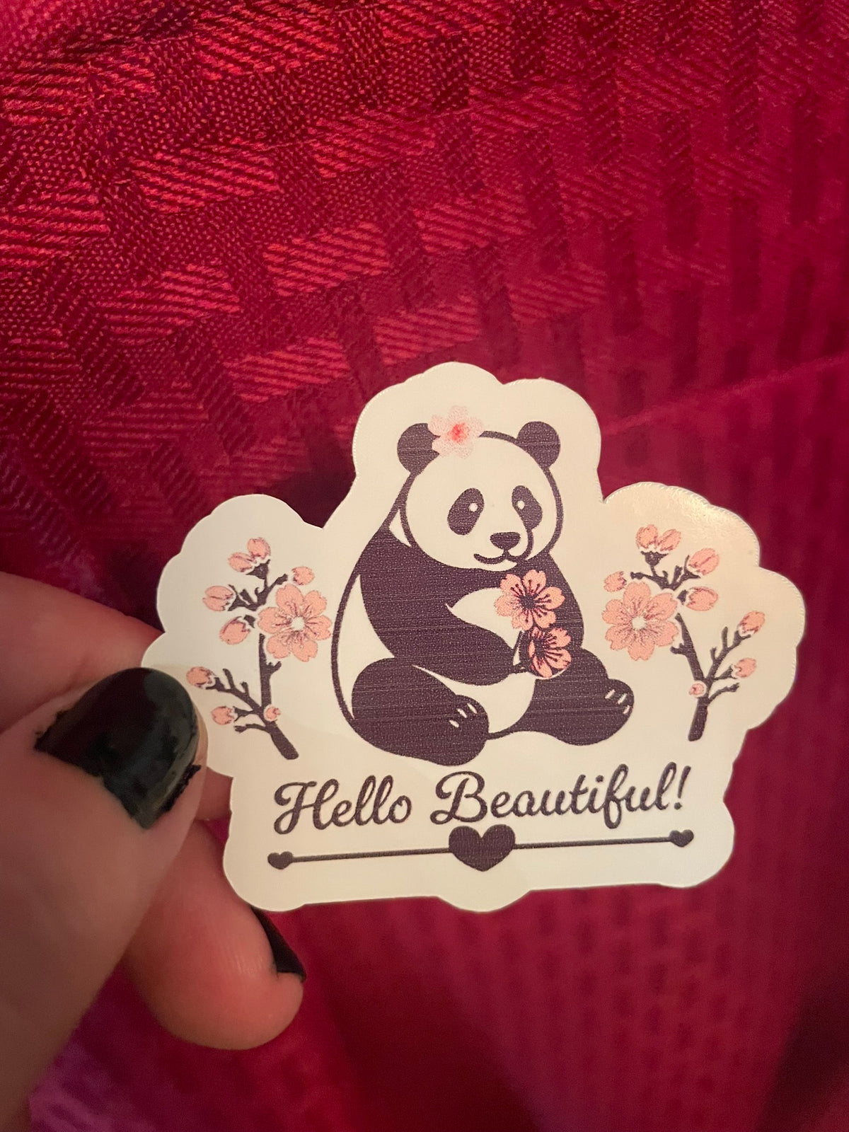 Hello Beautiful Panda!