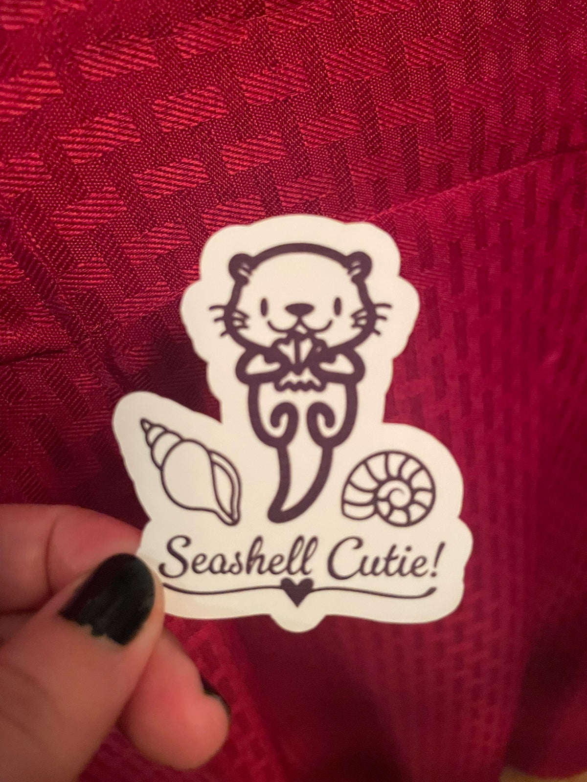 Seashell Cutie!