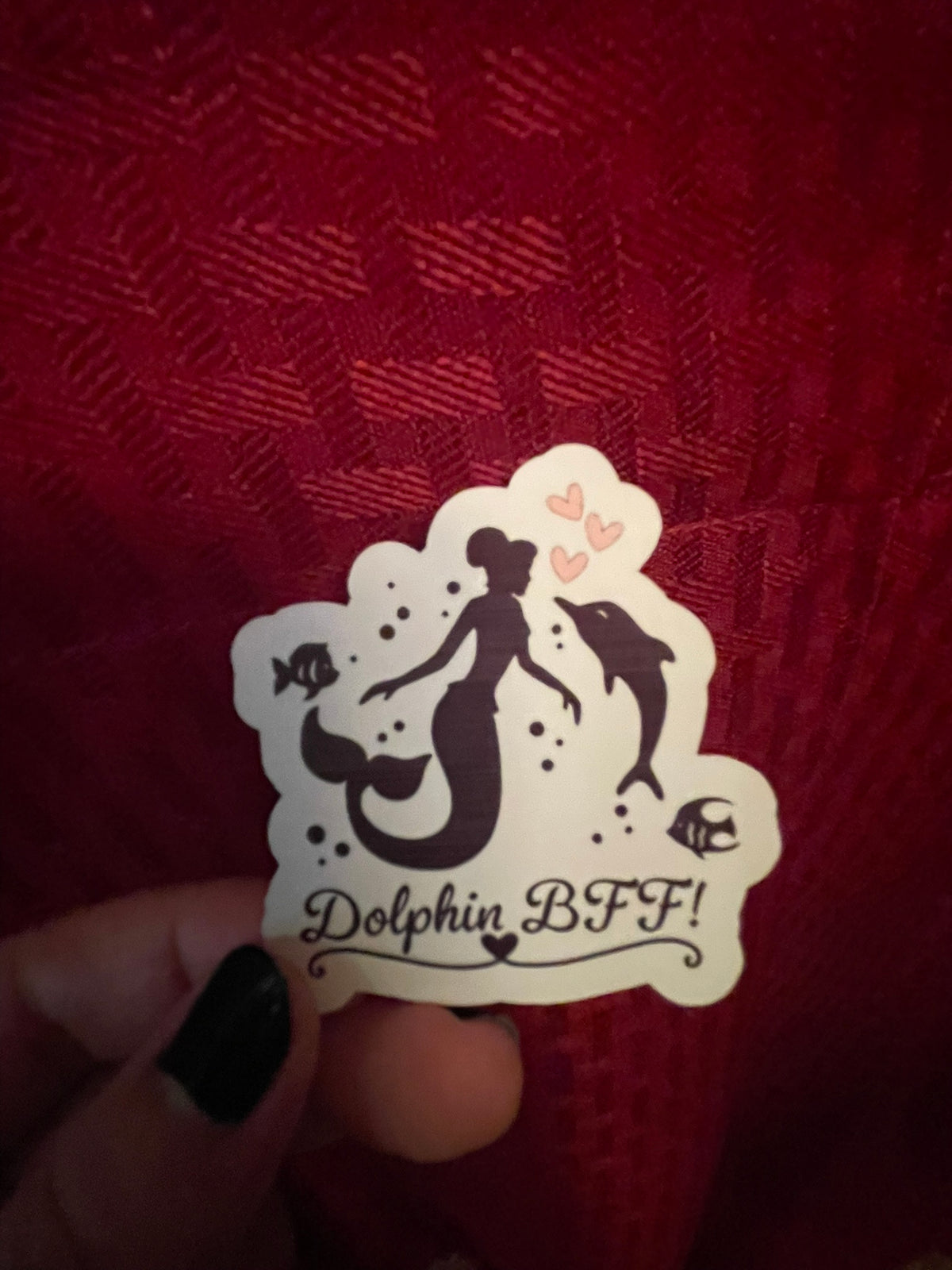 Dolphin BFF!