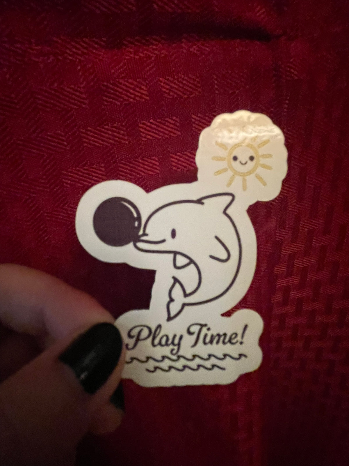 Play Time Dolphin! :)