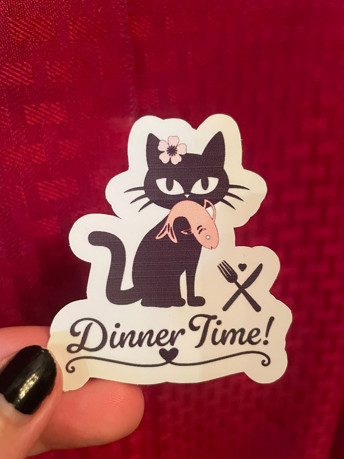 Dinner Time Kitty! :)