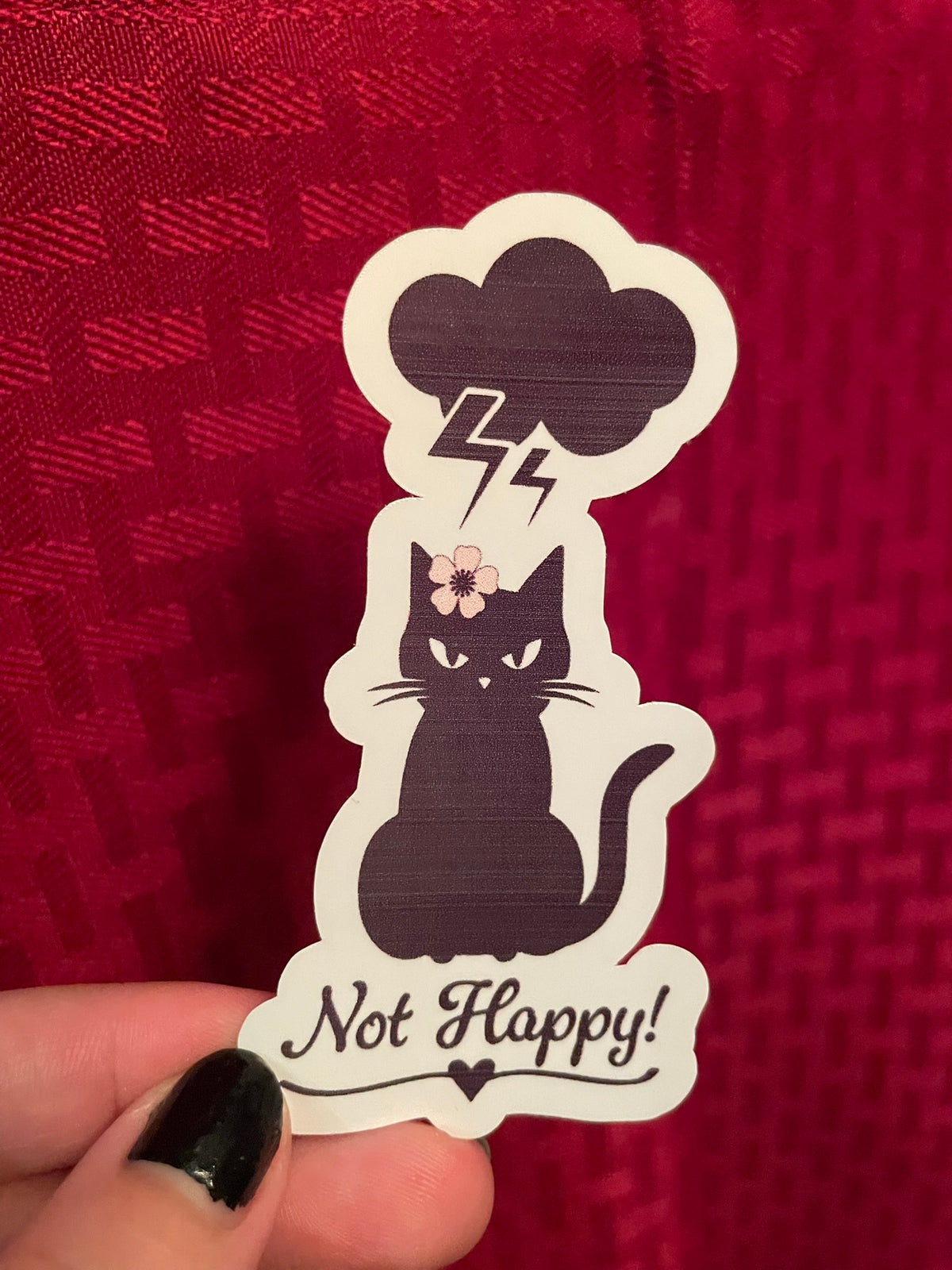 Not Happy Kitty! >:(