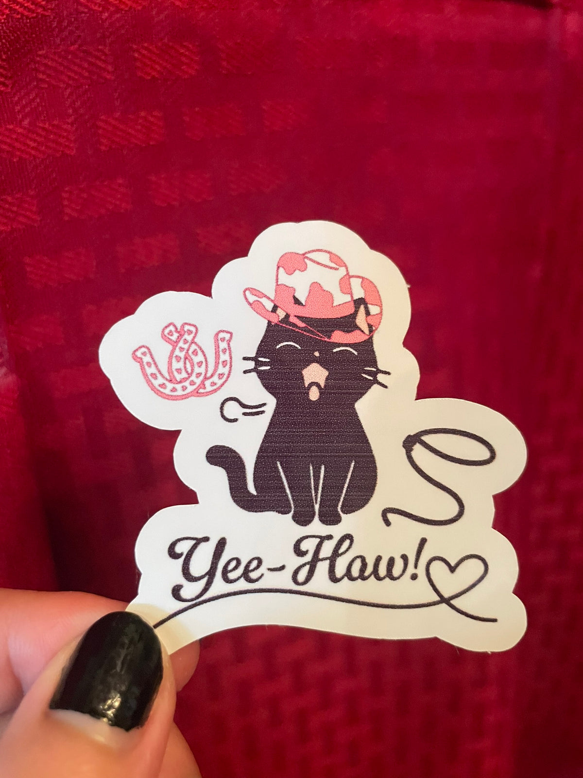 Yee-Haw Kitty!
