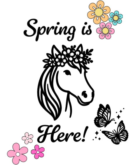 Spring is Here! Lg. Vinyl Decal
